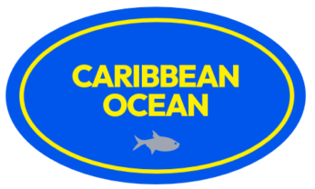 Caribbean Ocean